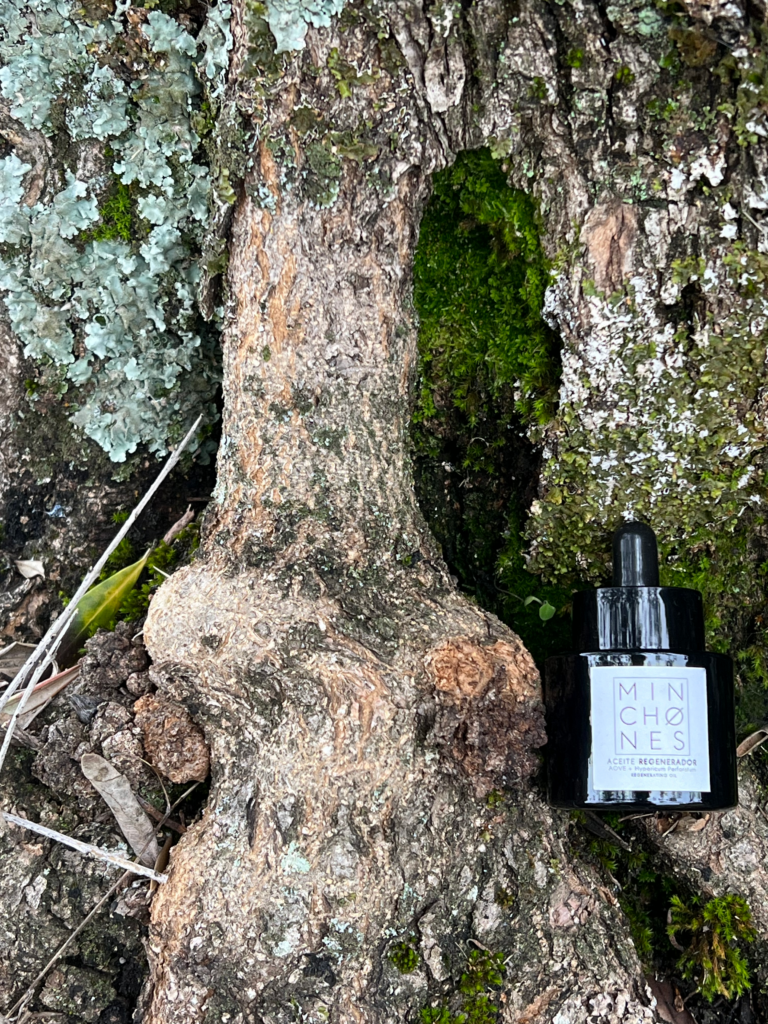 ACEITE REGENERADOR MINCHONES
